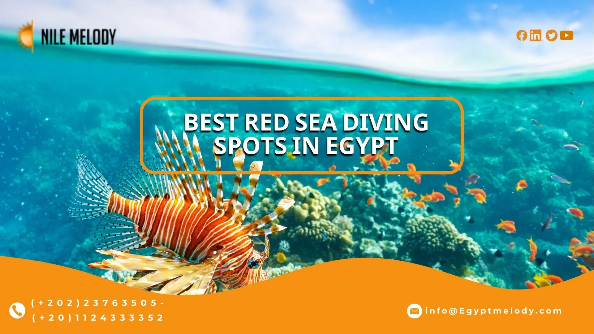 Best Red Sea Diving Spots in Egypt