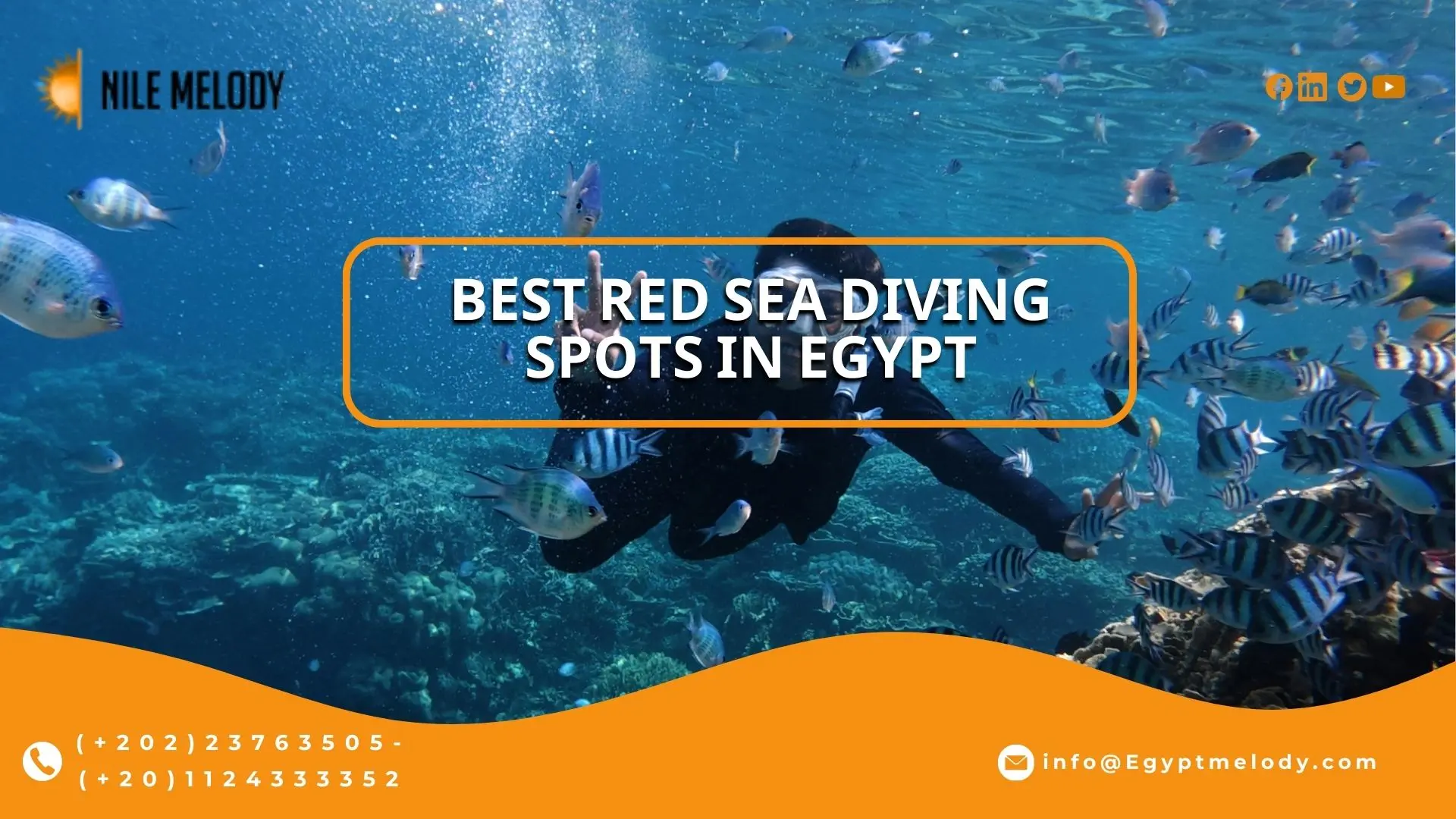 Best Red Sea Diving Spots in Egypt